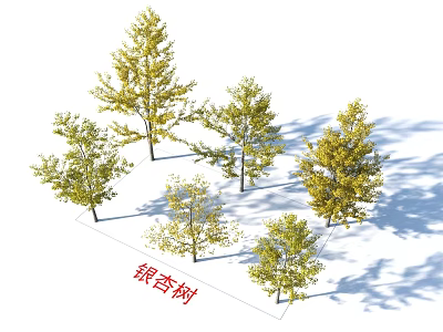 Ginkgo Trees With Golden Yellow Leaves And Varying Heights In Landscape Design 3d model
