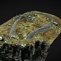 Natural Garden Landscape With Winding Stone Path Rocky Terrain And Green Grass