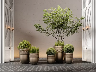 Elegant Indoor Potted Bonsai Plants In Metal Pots For Modern Entryway Decor 3d model