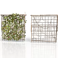 Climbing Plants Covering Decorative Lattice Trellis With Green Leaves And Flowers