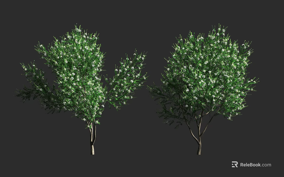 Two Lush Green Arbor Trees With White Flowers And Dense Foliage 3d model 