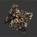 Fresh Orange Mushrooms Growing with Dried Leaves and Wood Chips