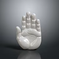 Medical Device Anatomical Hand Model White Plastic Medical Training Tool for Clinical Education and Demonstration