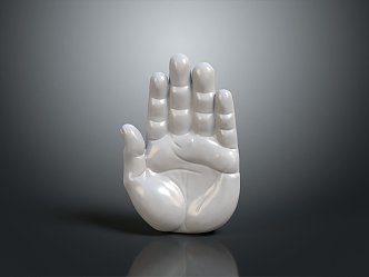 Hand Medical Teaching Aware Medical Supplies Medical Teaching Aware Medical Display 3d model