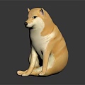 Yellow Shiba Inu Stuffed Toy Sitting On Shiny Surface With Dark Background