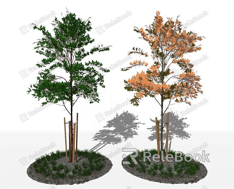 Modern Tree Small Tree Tree Pit model