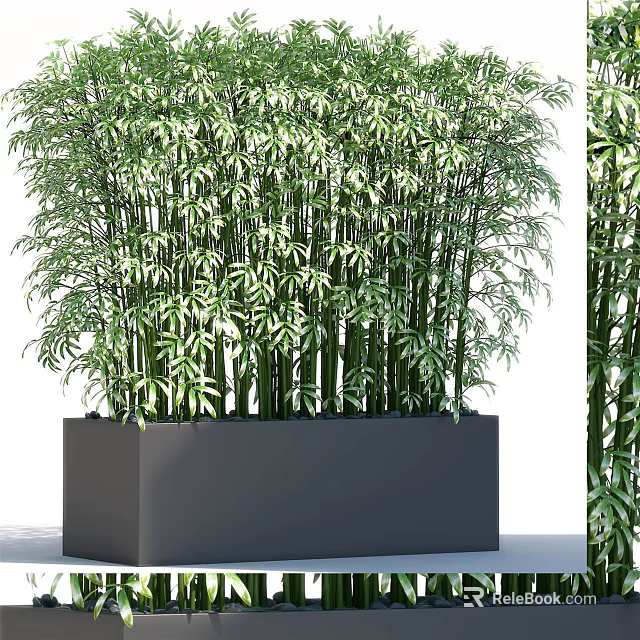Tall Green Bamboo Plants In Rectangular Black Container For Home Decor 3d model 