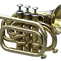 Golden Brass Cornet Musical Instrument With Three Valves And Shiny Finish