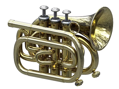 Golden Brass Cornet Musical Instrument With Three Valves And Shiny Finish 3d model