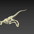 Tyrannosaurus Dinosaur Skeleton Fossil With Detailed Bone Structure And Sharp Teeth