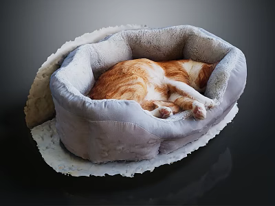 Adorable Orange Cat Sleeping Comfortably in Soft Gray Plush Cat Bed 3d model