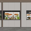 Modern Built in Aquariums in White Wooden Cabinets with Orange Fish Aquatic Plants and Decorations