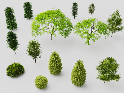 Collection of Various Green Trees with Diverse Crown Shapes and Lush Foliage 3d model