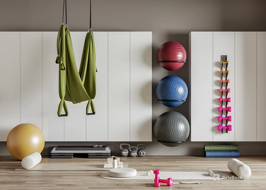 Yoga Studio Featuring Hanging Hammock Colorful Exercise Balls Wall Mounted Dumbbells And Yoga Equipment 3d model 