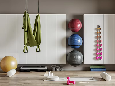 Yoga Studio Featuring Hanging Hammock Colorful Exercise Balls Wall Mounted Dumbbells And Yoga Equipment 3d model