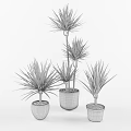 Tall and Short Green Leafy Potted Plants in White and Brown Indoor Pots