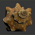 Ornate Conch Shell Sculpture With Natural Texture And Detailed Carving