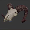 White Ram Skull Decorative Ornament Set With Textured Brown Horns For Home Decor