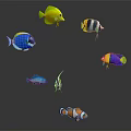 Colorful Tropical Fish Swimming With Vibrant Colors Different Species And Patterns