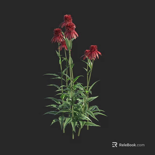 Lush Red Flowers With Fresh Green Leaves On Tall Green Stems 3d model 