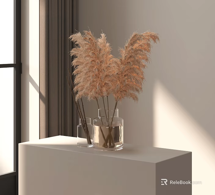 Transparent Glass Vase With Dried Pampas Grass On White Console Table With Natural Light 3d model 