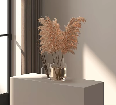 Transparent Glass Vase With Dried Pampas Grass On White Console Table With Natural Light 3d model