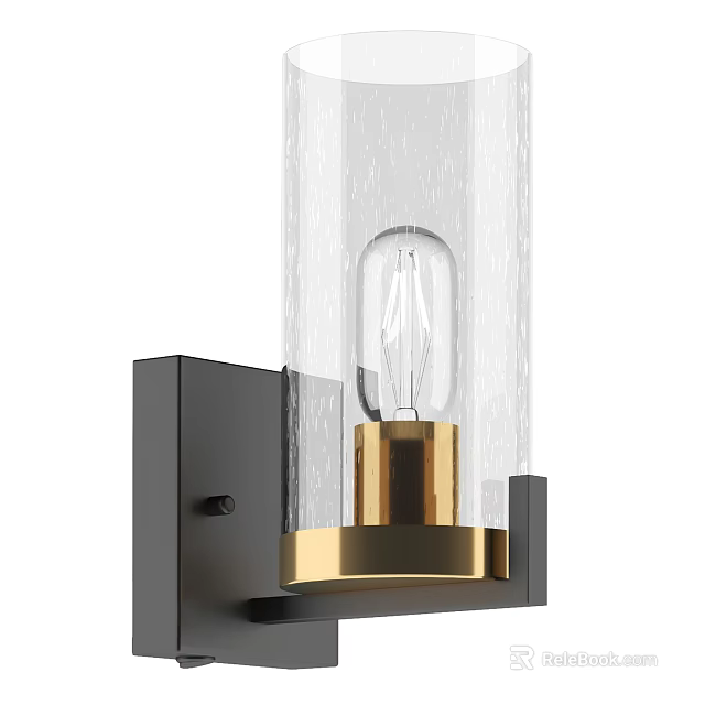 Modern Wall Lamp With Black Metal Frame Gold Accent And Clear Textured Glass Shade 3d model 