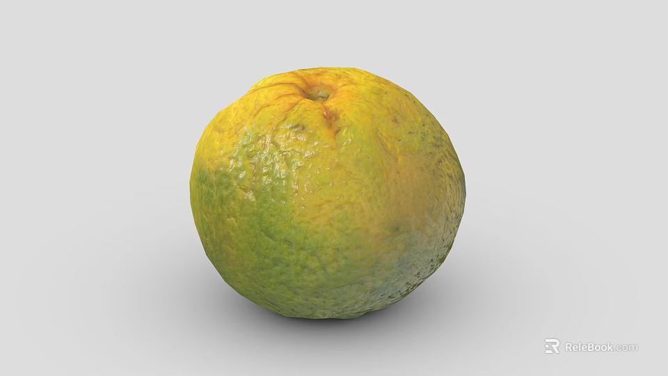 Single Fresh Round Green And Yellow Orange With Textured Skin On Gray Background 3d model 