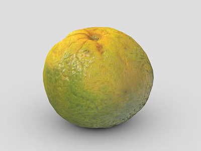 Single Fresh Round Green And Yellow Orange With Textured Skin On Gray Background 3d model