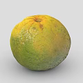 Single Fresh Round Green And Yellow Orange With Textured Skin On Gray Background