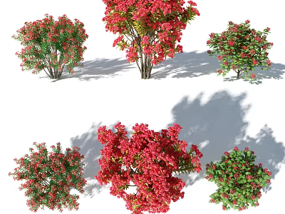 Various Shrubs Featuring Red and Green Foliage and Blossoms in Garden Settings 3d model