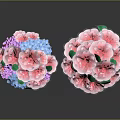 Decorative Potted Plants With Pink Flowers Purple Blue Small Blooms Green Leaves In Pink Pots