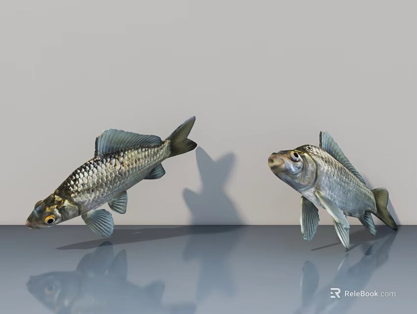 Two Silver Fish with Shiny Scales on Smooth Reflective Surface Showing Clear Reflections 3d model 