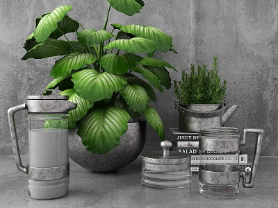 Indoor Bonsai Plant With Large Green Leaves In Metal Containers On Tabletop 3d model