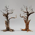 Withered Leafless Shrub With Thick Trunk Branches And Exposed Roots On Gray Background