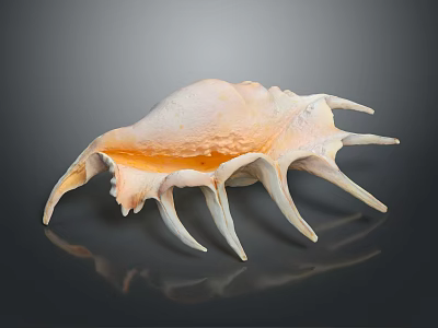 Natural Design Decorative Shell Ornament With Pink Beige Color And Spiked Edges For Home Tabletop 3d model