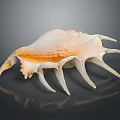 Natural Design Decorative Shell Ornament With Pink Beige Color And Spiked Edges For Home Tabletop