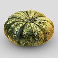 Fresh Round Pumpkin With Green And Yellow Striped Vibrant Texture