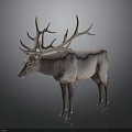 3D Model of Deer With Large Antlers and Light Colored Body Standing on Dark Background