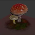 Fresh Wild Mushrooms with Red Cap White Spots and Small Gray One on Mossy Ground