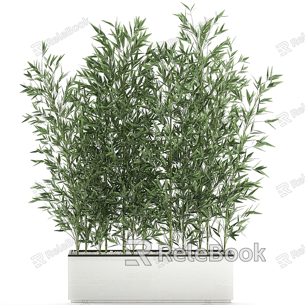 bamboo potted plant model