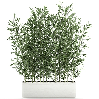 bamboo potted plant 3d model