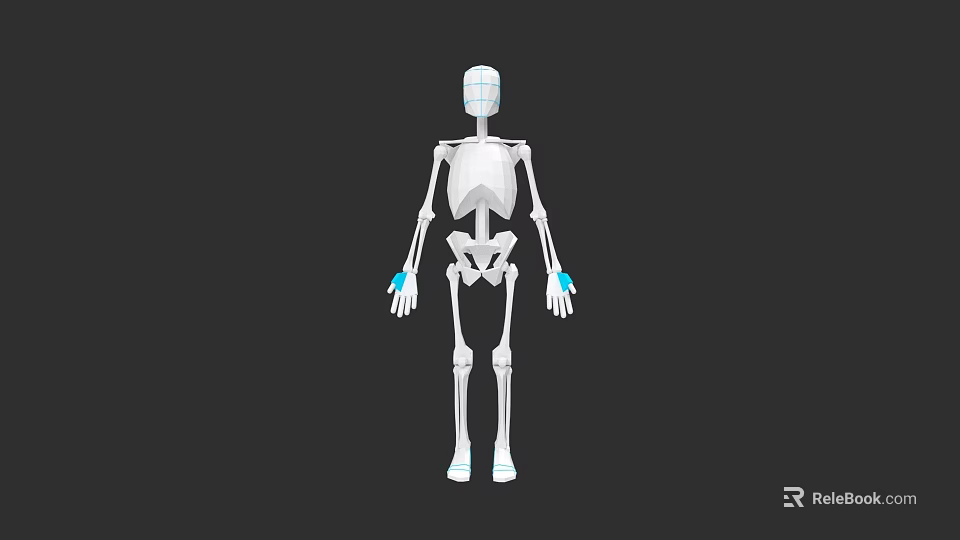 Male Skeleton Model With White Body Blue Hand And Foot Markers On Dark Background 3d model 