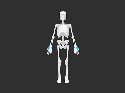 Male Skeleton Model With White Body Blue Hand And Foot Markers On Dark Background 3d model