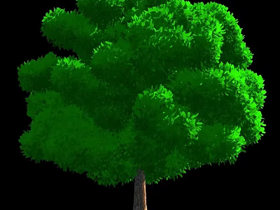 Lush Green Arbor With Dense Foliage And Strong Trunk In Natural View 3d model