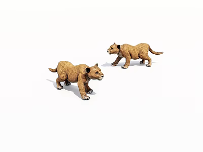 Adorable Lion Cubs Standing And Walking On White Background 3D Illustration 3d model