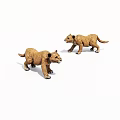 Adorable Lion Cubs Standing And Walking On White Background 3D Illustration