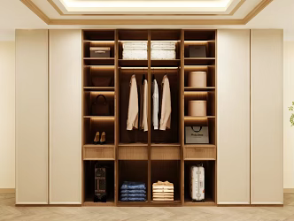 Wardrobe Design Wardrobe Effect Diagram Wardrobe Coat Cabinet Design Coat Cabinet 3d model