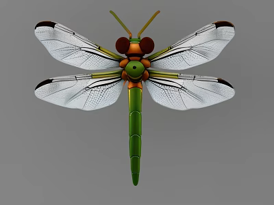 Green Dragonfly With Red Eyes White Veined Wings And Long Slim Body 3d model