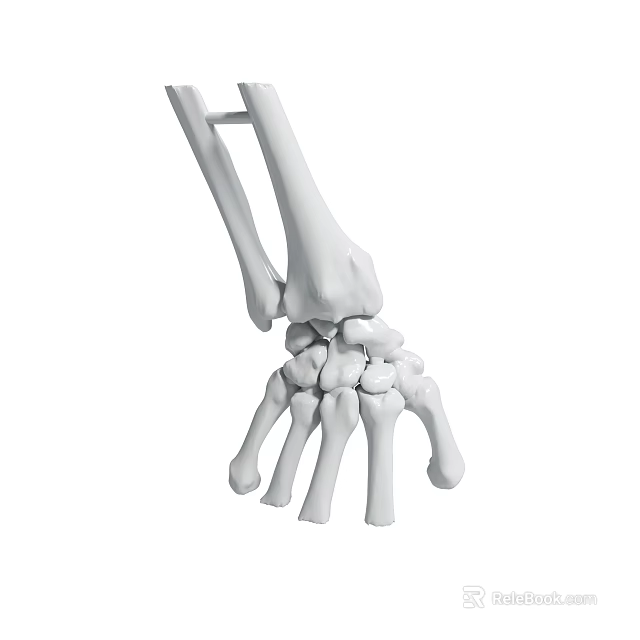 Detailed Human Wrist Bones 3D Model Showing Anatomical Skeletal Structure 3d model 